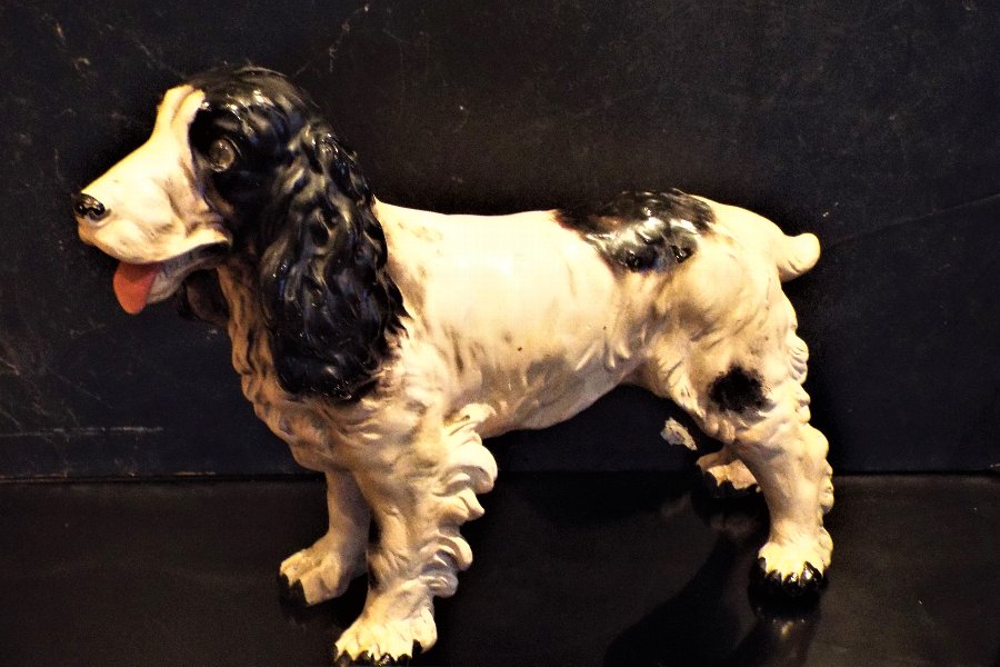 Antique Victorian Cocker Spaniel dog with glass eyes 