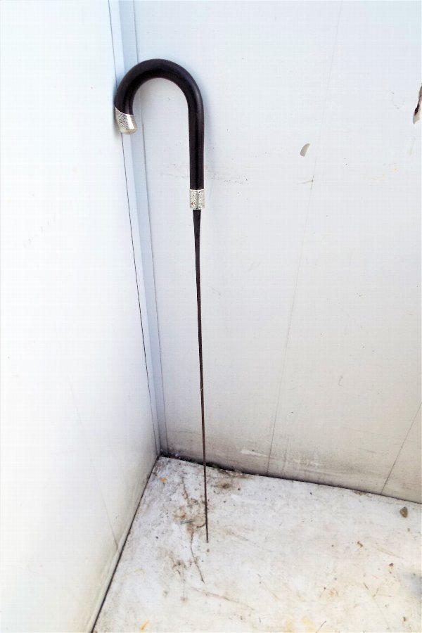 walking stick mounts