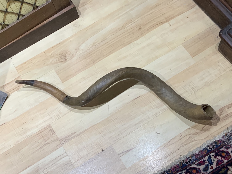 Antique Rare early Victorian African tribes Hunting horn