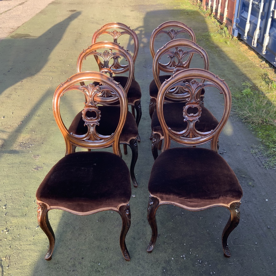 Antique Set of six walnut dining chairs, cabriolet legs profusely carved and recently  upholstered 