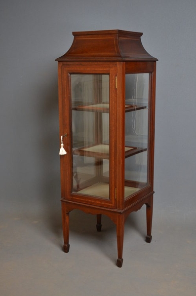 Antique Edwardian Display Cabinet sn2608
