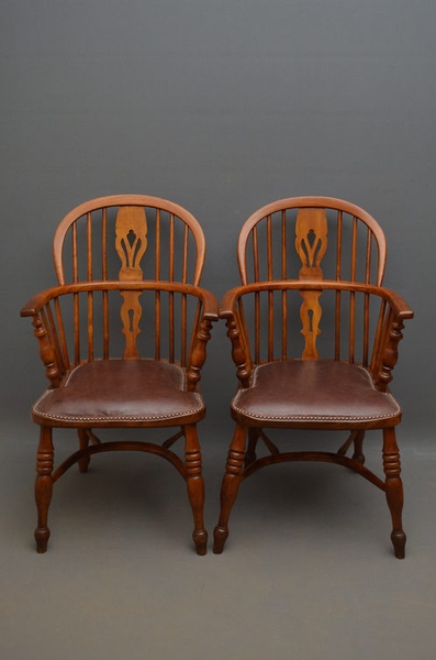 A Pair of Windsor Chairs