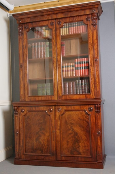 Magnificent Library Bookcase sn1186