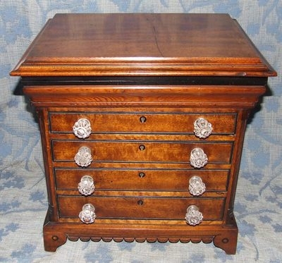 Antique Mahogany Ebony Maple & Pitch Pine Specimen Display Cabinet Table Top