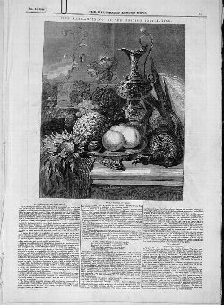 Print 1846 Fruit Lance Pheasant Still-Life Fine Ar
