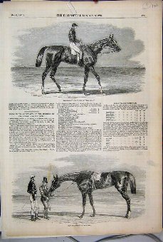 Print 1851 Teddington Derby Horse Iris Oaks Winner