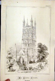 Print 1855 Cathedral Gloucester Charles Wickes Chu