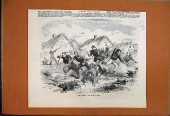 Print 1855 Foraging Party Village Kinburn Pigs Gee