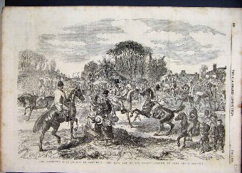 Print 1855 Majesty Buck Hound Salt Hill Horses 20M