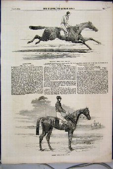 Print 1856 Epsom Races Ellington Derby Mincepie Oa