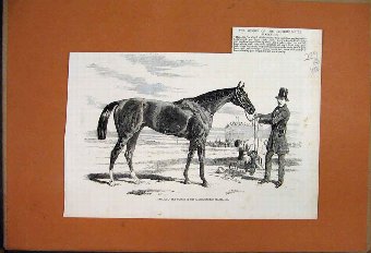 Print 1856 Stolen Painting Le Raboteur Caracci Ear