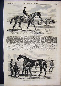 Print 1858 Horse Fitzroland Governess Thousand Sta