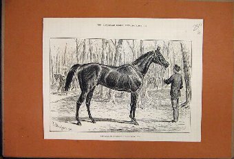 Print 1859 The War Bridge Over River Po Turin Hors