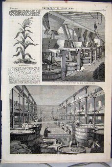 Print 1860 Manufacture Brown Polson Corn Flour Ref