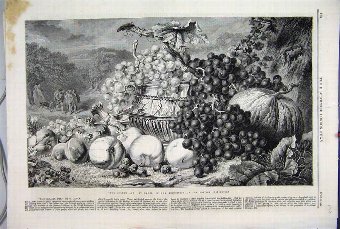 Print 1861 Golden Age Fruit Melon Grapes Beautiful