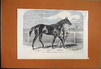 Print 1861 Statue Lord Elcho Doncaster Cup Rifle B