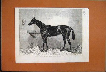 Print 1863 Maccaroni Racehorse Winner 2000 Guineas