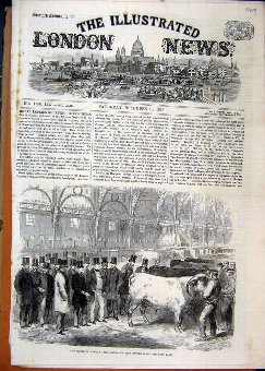 Print 1863 Prince Wales Smithfield Club Cattle Sho