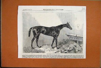Print 1863 Queen Bertha Winner Oaks Horse Stable B