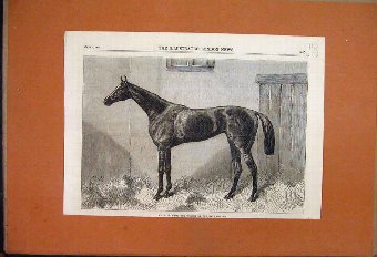 Print 1864 Fille De L'Air Racehorse Winner The Oak