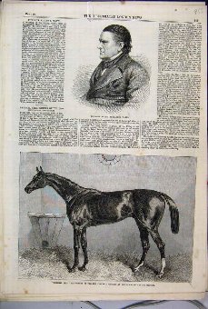 Print 1864 General Peel Newmarket Horse Alaric Ale