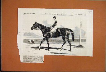 Print 1865 Ruins Of Gasworks Explosions At Nine El