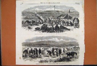 Print 1865 William Thompson Brigadier General Care