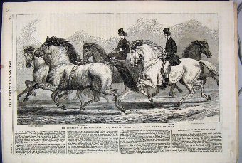 Print 1868 Horse Show Agricultural Hall Islington 