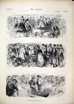 Print 1869 Sketches Cattle Show Sheep Pigs Farm An