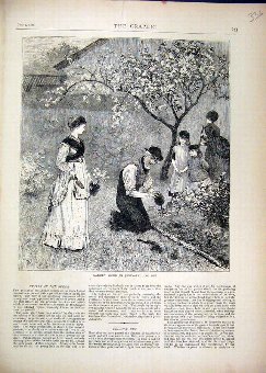Print 1870 Garden Work June Bedding Out Tree 36MAR