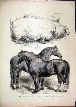 Print 1870 Royal Agricultural Show Oxford Prize Ho