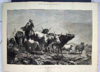 Print 1872 Cattle-Lifters Crossing Border Sheep Ho