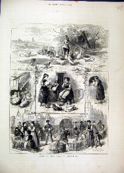 Print 1872 Strasburg Boy Feeding Geese Selling Str