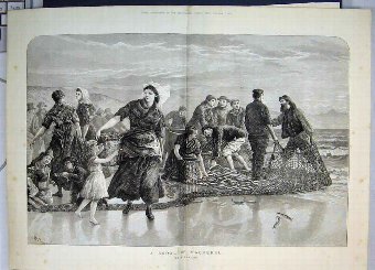 Print 1873 Shoal Mackerel Gathering Fishing Net Fa