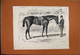 Print 1876 Apology Racehorse Winner Gold Cup Ascot