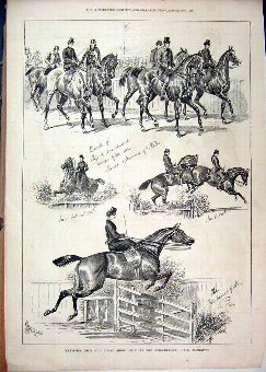 Print 1877 Sketches Horse Show Agricultural Hall I