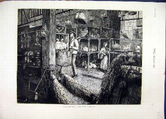 Print 1876 Leadenhall Poultry Market Birds Cages S