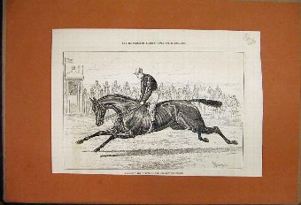 Print 1876 Rosebery Horse Winner Cesarewitch Stake