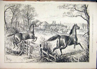 Print 1877 Loose Horses Jumping Fence Field Countr