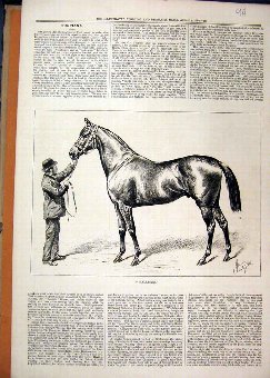 Print 1877 Man Holding Beautiful Race Horse Wallse