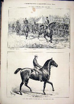 Print 1877 Palace Stakes Norah Trotting Mare Alexa
