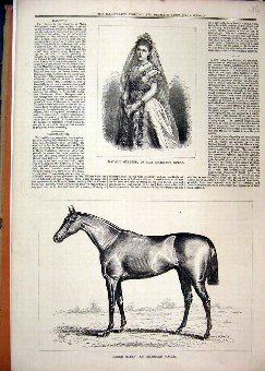 Print 1878 Baden Race Horse Madame Gerster Majesty