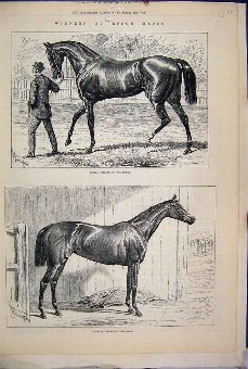 Print 1878 Epsom Races Sefton Derby Jannette Oaks 