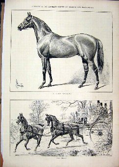 Print 1878 Horse Coach Mr Lupin Salvator Country S