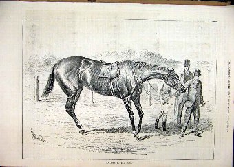 Print 1878 Jockey Man Leading Horse Race Course Tu