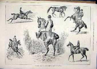 Print 1878 Sketches Horse Show Alexandra Palace Ju