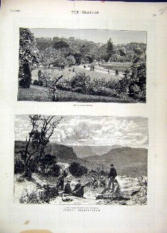 Print 1879 Sydney Botanical Gardens Covett Leap Bl