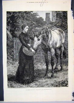 Print 1879 Woman Feeding Horse Country Scene Fine 