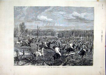 Print 1880 Driving Kangaroo Hunt Australia Horses 