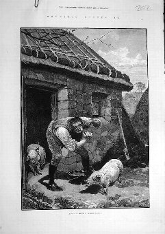 Print 1880 Private-Shave Galway Ireland Man Pigs I